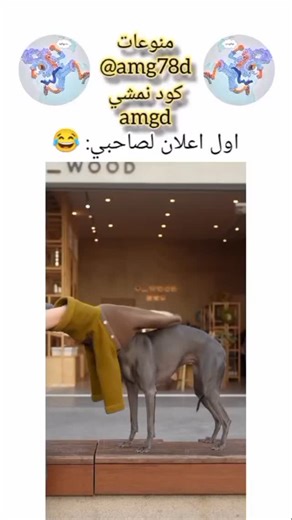 ‎منوعات‎ on Instagram‎: ". In ancient Greece, women were forbidden from studying medicine for many years... until someone defied the law. Agnodis was born around 300 BC. She cut her hair and entered the medical school in Alexandria disguised as a man. While walking the streets of Athens after completing her medical studies, she heard the cries of a woman in labor. However, the woman, despite being in great pain, refused to be touched by Agnodis because she believed Agnodis to be a man. Agnodis p