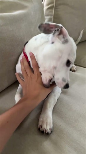 Playing with my weiner