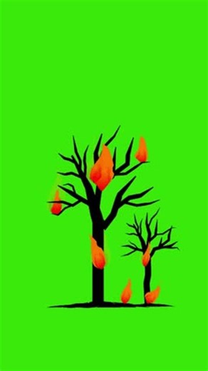 clip-4177189435-burning-tree-flame-cartoon-animation-wildfire-heat