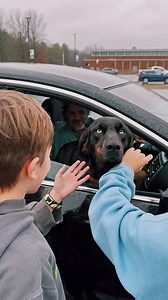 we got a new dog! this is dolly. She’s a four year old blue tick hound lab mix. and sweeeeeeeeeeeeeet. #gotchaday #dog #dogsoftiktok #adoptadog #shelterdog #bluetickcoonhound #labmix #franklintn #blueeyeddog #blueeyes #prettydog #dolly | Ben Guidry