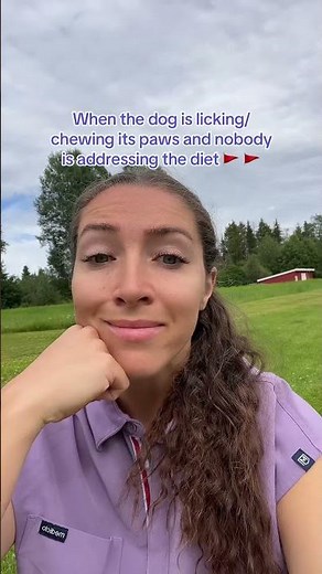 The reason your dog is chewing its paws
