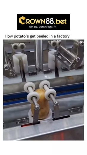 Briefly Explaining on Instagram: "An automatic potato peeler used in factories typically works using a combination of abrasion, water, and sometimes steam to remove the skins from large quantities of potatoes efficiently. The process begins with raw, unpeeled potatoes being loaded into a rotating drum or chamber lined with abrasive surfaces. As the drum rotates, the abrasive interior scrapes the skins off the potatoes while water is sprayed continuously to wash away the loosened peels. In more a