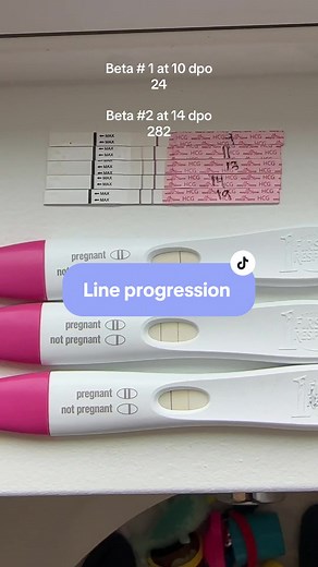 5 Weeks Pregnant Symptoms and Pregnancy Test Progression