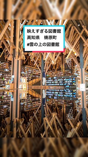 高知県の雲の上の図書館と美味しいチーズケーキ