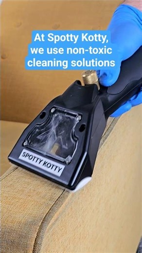 Sofa Cleaning in Roseville California | Spotty Kotty