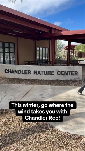 Our winter programs are waiting for you! From the Chandler Nature Center to one of our 70 parks there is always something new to explore. Visit Chandleraz.gov/recreation or our bio link to find your next adventure! | City of Chandler Recreation
