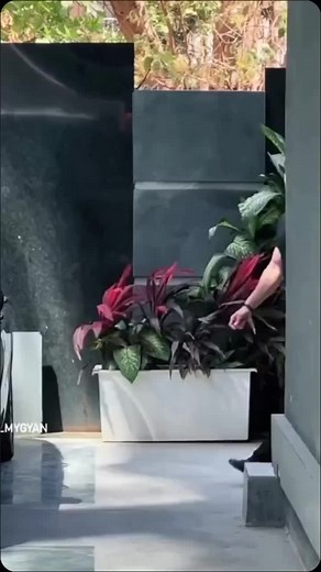 Exploring Islamic Symbols: A Visual Journey