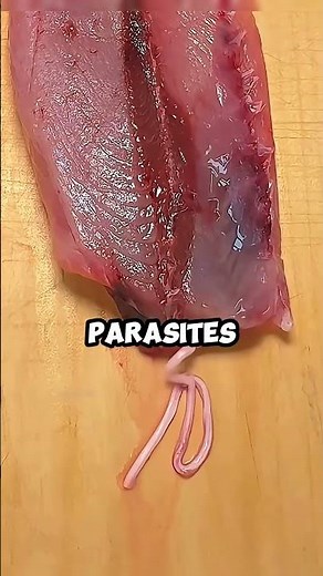 Chefs Use This Trick to Reveal Invisible Worms in Fish!