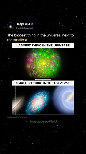 The Biggest Thing in the Universe Next to the Smallest