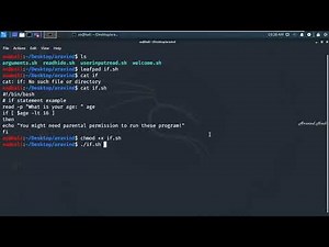 bash scripting if statement lab on kali linux