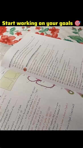 Start working on your goals 🎯 #shorts