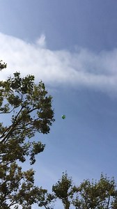 German Doctors on Reels | Facebook