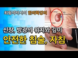표면해부학(3) 신장, 방광의 깊이와 위치, 안전한 자침, 침술법, 침놓는 법