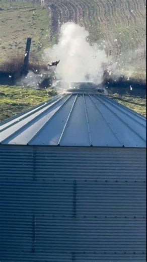 Exploding Pigeons