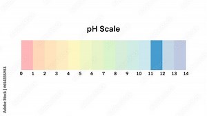 Ph scale diagram, Ph scale vector graphic, Acid to base, pH scale Infographic acid-base balance, Indicator diagram acidic alkaline measure isolated on white background illustration