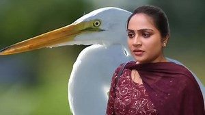 27K views · 378 reactions | Siragadikka aasai serial | Full Episode | 28 December 2025 #siragadikkaaasaiserial | serials update | Facebook