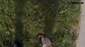 Man muddy poop a dog to its owner FAIL