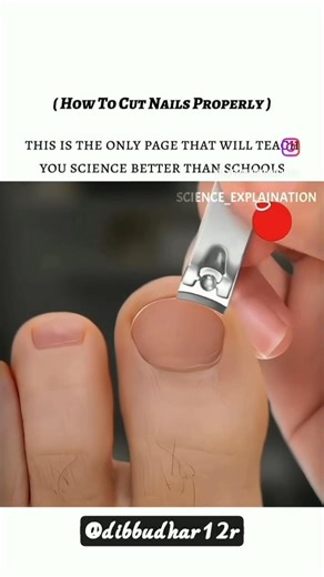 cut nails properly #different type for nail shape