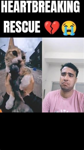 Cat Trapped in Flood Water 😭 | Emotional Rescue Reaction | I Couldn’t Stop Crying💔#shorts #cat