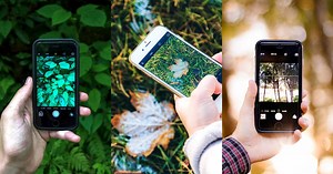 This Free 'Shazam for Nature' App Can Identify Plants and Animals in Photos