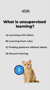 AI Quiz, explained by cats #cat #code #AIQuiz #MachineLearning #LearnToCode