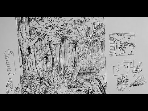 Pen & Ink Drawing Tutorials | How to draw a forest scene or background