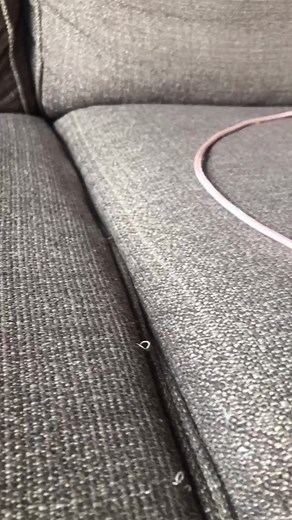 Benny sit! Good boy! #bennyfromthebronx #fy #fyp #digsoftiktok #chewy #xwycba