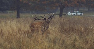 Today is the first day of Autumn which means lots of wonderful things here | Tatton Park
