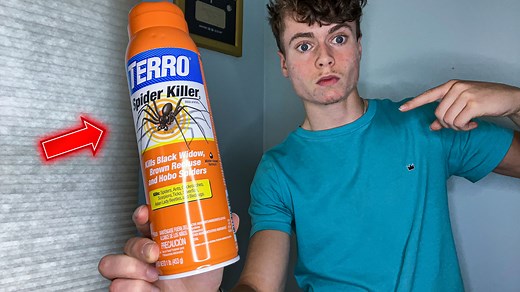 Watch TERRO Spider Killer Spray for Indoors and Outdoors Review. on Amazon Live
