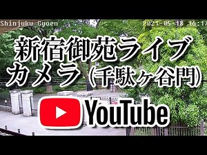 新宿御苑ライブカメラ Shinjuku Gyoen Webcam Live Camera