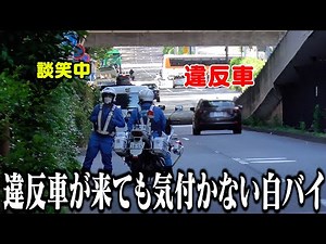【リアル警察24"時間"】取締りノンストップ/Traffic police officers in Tokyo 24/7