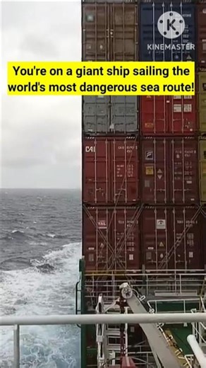 Sailing a GIANT Container Ship Through Cape Horn! 😱 #capehorn #shorts #ship #containership #sea