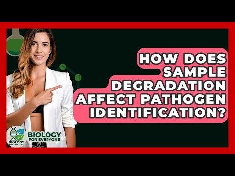 How Does Sample Degradation Affect Pathogen Identification? - Biology For Everyone