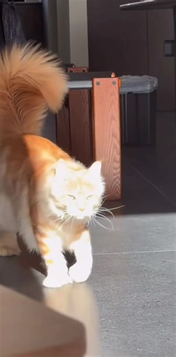 flash_________ (@flash_________)’s videos with original sound - 90s music i love