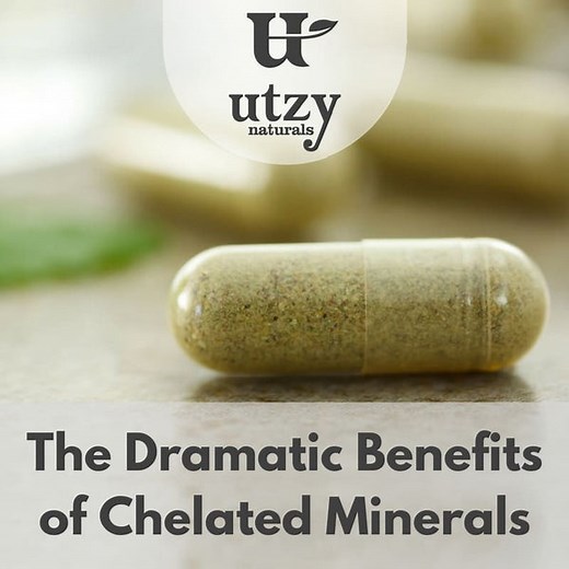Chelated Minerals: The Complete Guide