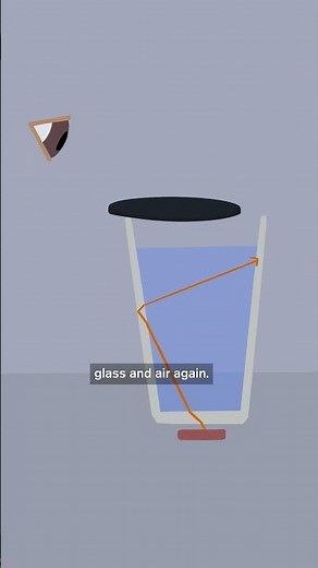 Make a Coin Disappear with Water (Science Explained)