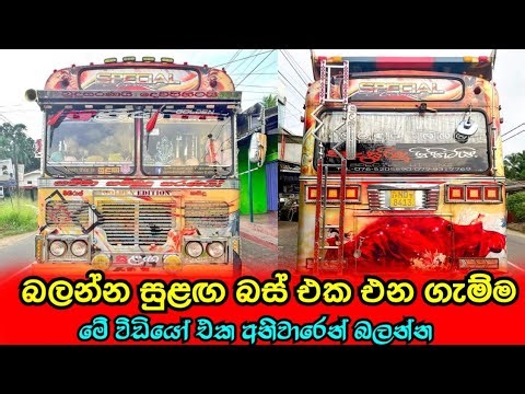 Sulaga Golden Edition || Bus Studio Sri Lanka #trending #busstudio #bus
