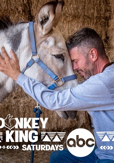 Donkey King - watch tv show streaming online