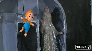 17M views · 12K reactions | Tikus itu hewan yang cerdas lho Sobat7! Mau tahu kepintarannya seperti apa saja? Tonton SI OTAN pukul 13.00 WIB. | TRANS7 | Facebook
