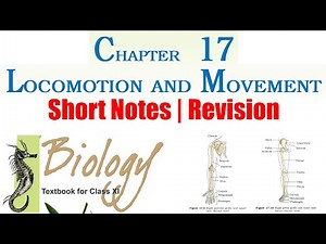 17. LOCOMOTION AND MOVEMENT (Short Notes | Revision) | Class 11 Biology NCERT