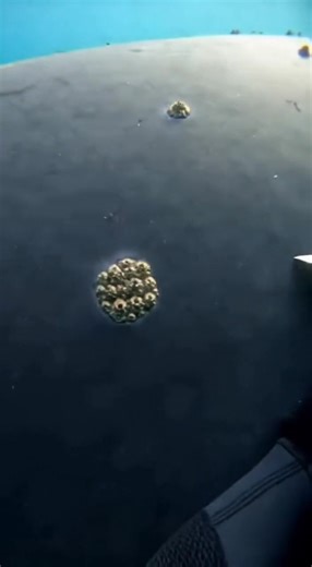 Saving a Life One Clean Twist at a Time