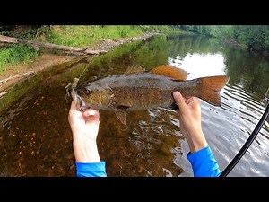 Wisconsin Smallmouth Bass Fishing the Peshtigo River with the Megabass Sleeper Craw
