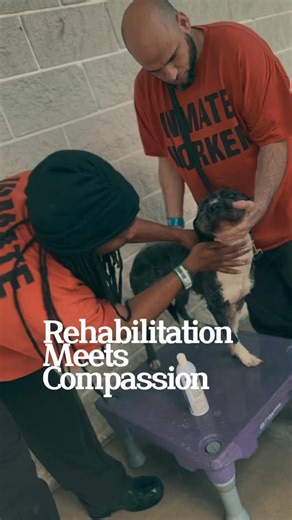 570 reactions · 47 comments | Meet the paws and faces behind PBSO’s Second Chance Program, where trustees in our care help train, groom, and prepare rescued dogs to become certified Therapy dogs. It’s a journey of healing and growth on both ends as these individuals learn valuable skills they can use after incarceration while helping bringing calm and comfort to our community.  #TherapyDogTuesday | PBSO - Palm Beach County Sheriff's Office | Facebook