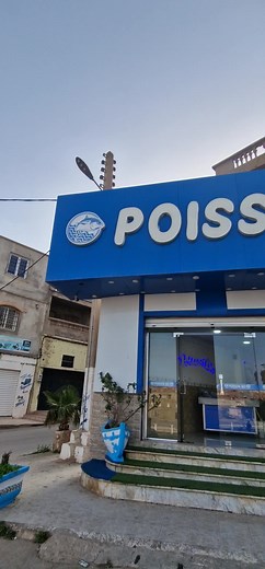 l'arrivage du jour le 05 mars chez poisson 🐟 bio livraison disponible gratuite 🦐🐙🐙🐙#poissonerie #mostaganem #alger #oran #relizane #poisson #الشعب_الصيني_ماله_حل😂😂
