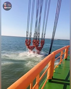 10K views · 54 reactions | Secrets of Underwater Dredging and Why You Should Know Them #underwaterdredging #dredgingeco #dredgingtips | Kena | Facebook