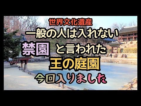 【韓国旅行#19】韓国第一の美しい庭園（禁園と言われた）王の庭園に行ってきました／韓国人が死ぬ前に必ず行ってみたいバケットリストの場所／絶景の所／日本語韓国語字幕有/ 창덕궁후원