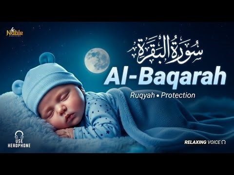 Surah Al Baqarah سورة البقرة | Beautiful Healing Voice for Stress Relief | Noble Reciters
