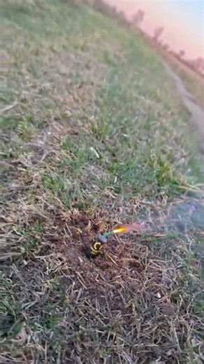 CRASH 🧨💣 #fireworks #pyrotechnica #pyro #experiment #shots #firecracker #poland #fire #viral #dc