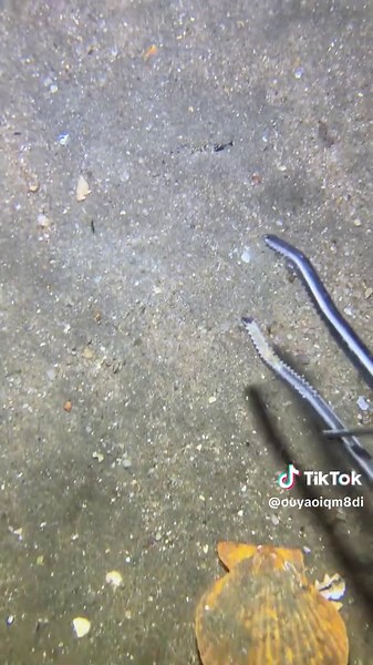 Reaper (@ouyaoiqm8di)’s videos with original sound - Reaper