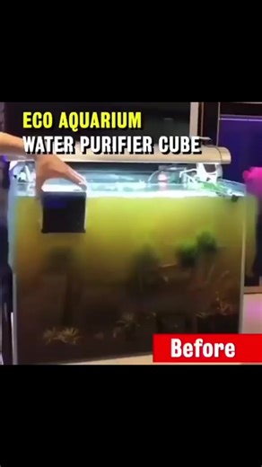 Aquarium cleaner😱 #aquarium #akuarium #cleaner #fypシ #fyp #foryou #foryoupage #FreeYondOpen
